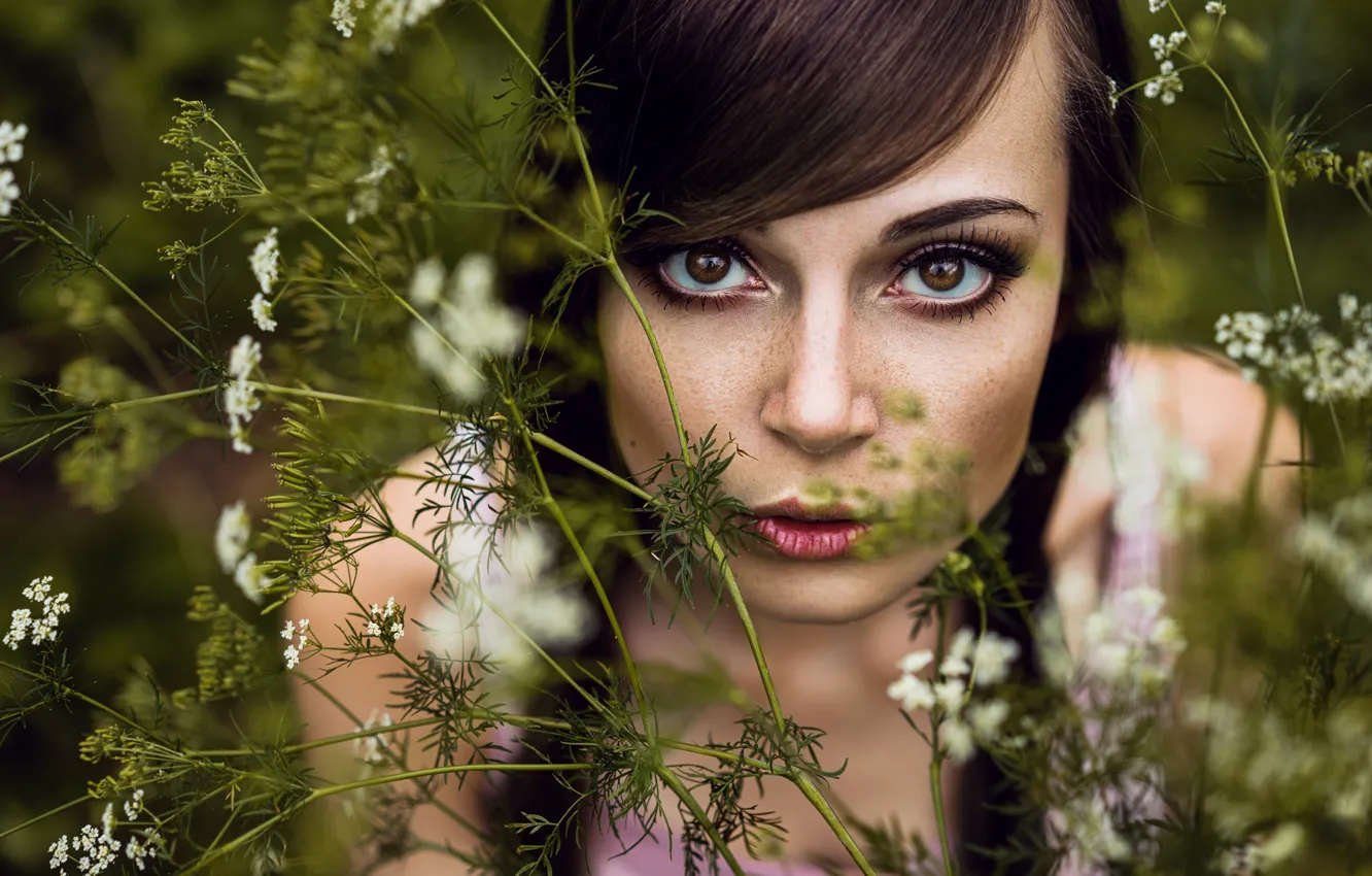 Photo wallpaper grass, look, girl, face
