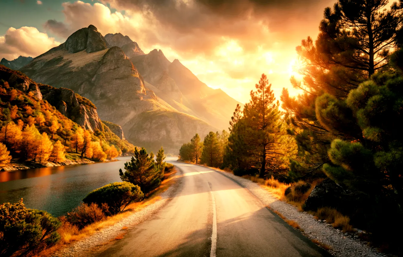 Photo wallpaper road, forest, mountains