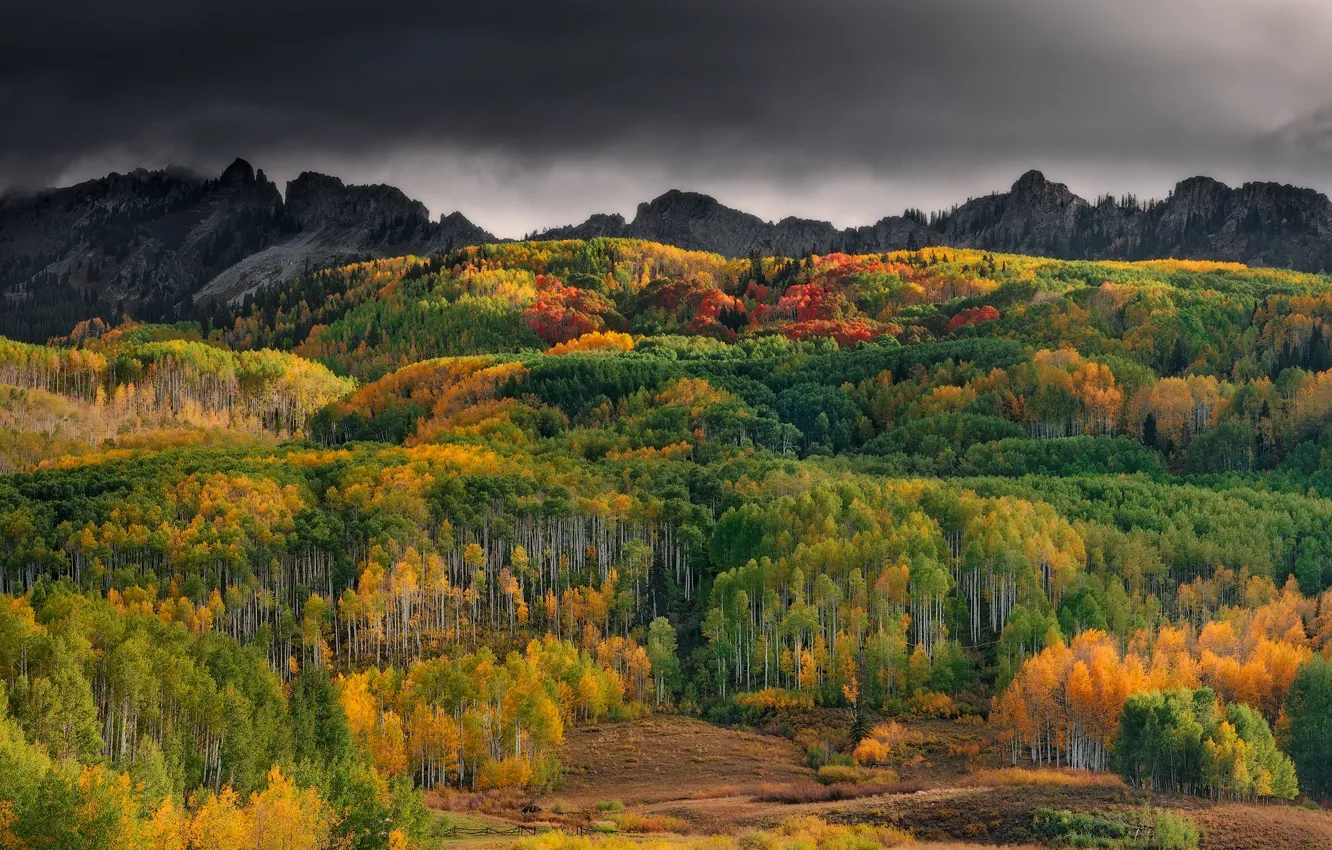 Photo wallpaper autumn, forest, trees, mountains, overcast, hills, view, height