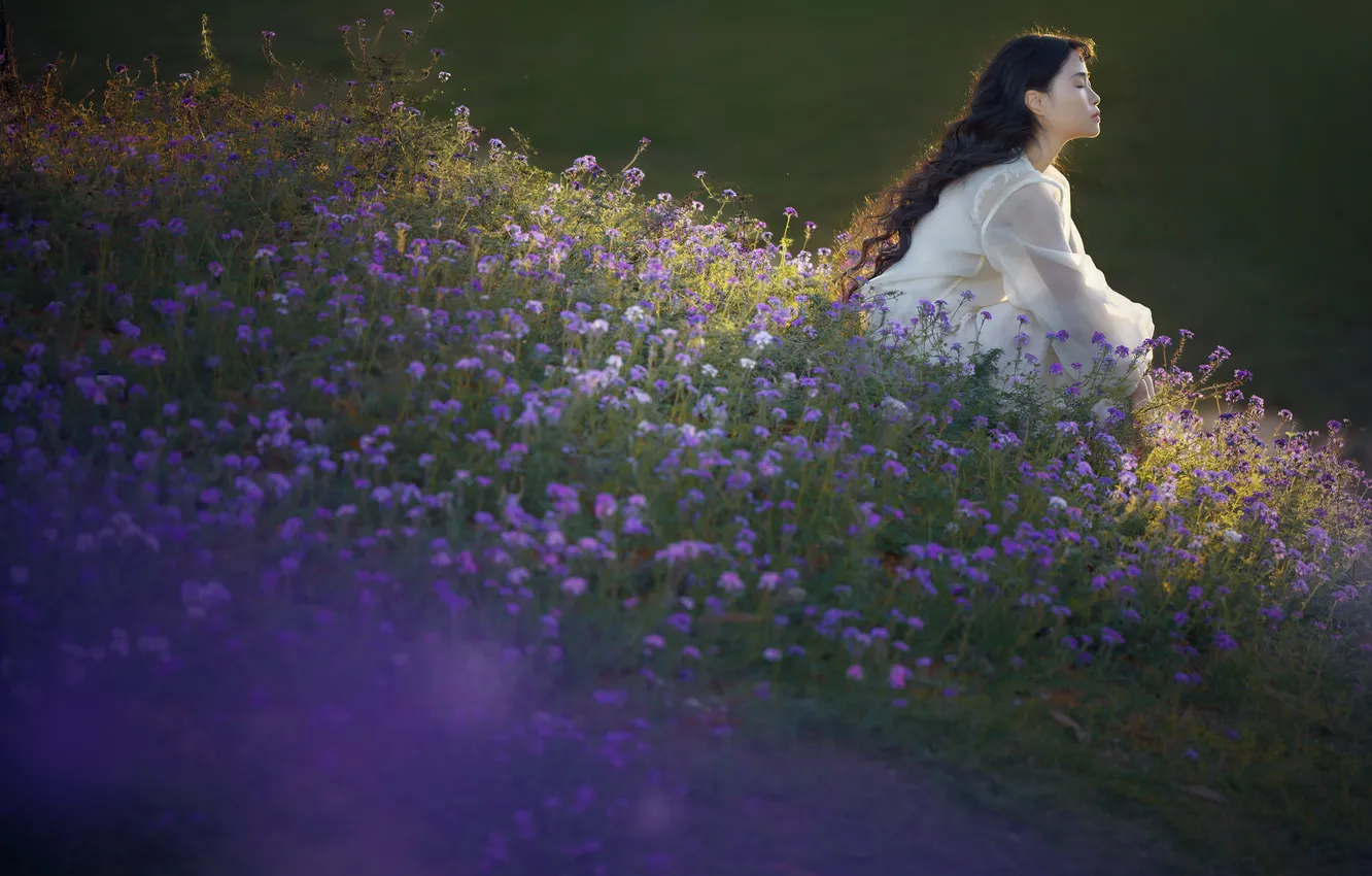 Photo wallpaper look, girl, nature, pose, Asian, Nick Vison