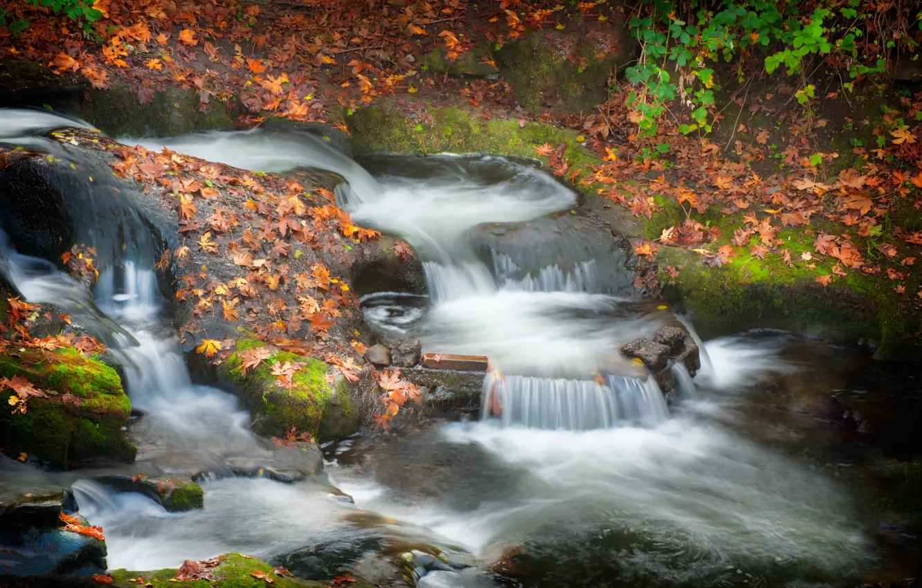 Photo wallpaper autumn, stones, waterfall, falling leaves, autumn leaves