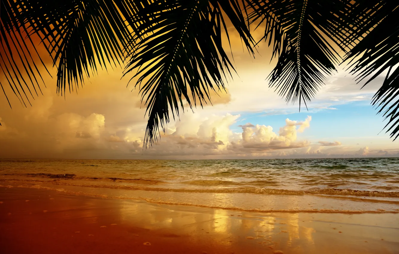 Photo wallpaper sand, beach, the sky, clouds, landscape, sunset, nature