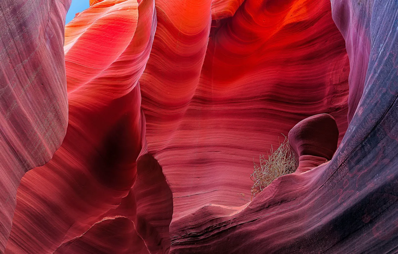 Photo wallpaper AZ, gorge, USA, antelope canyon