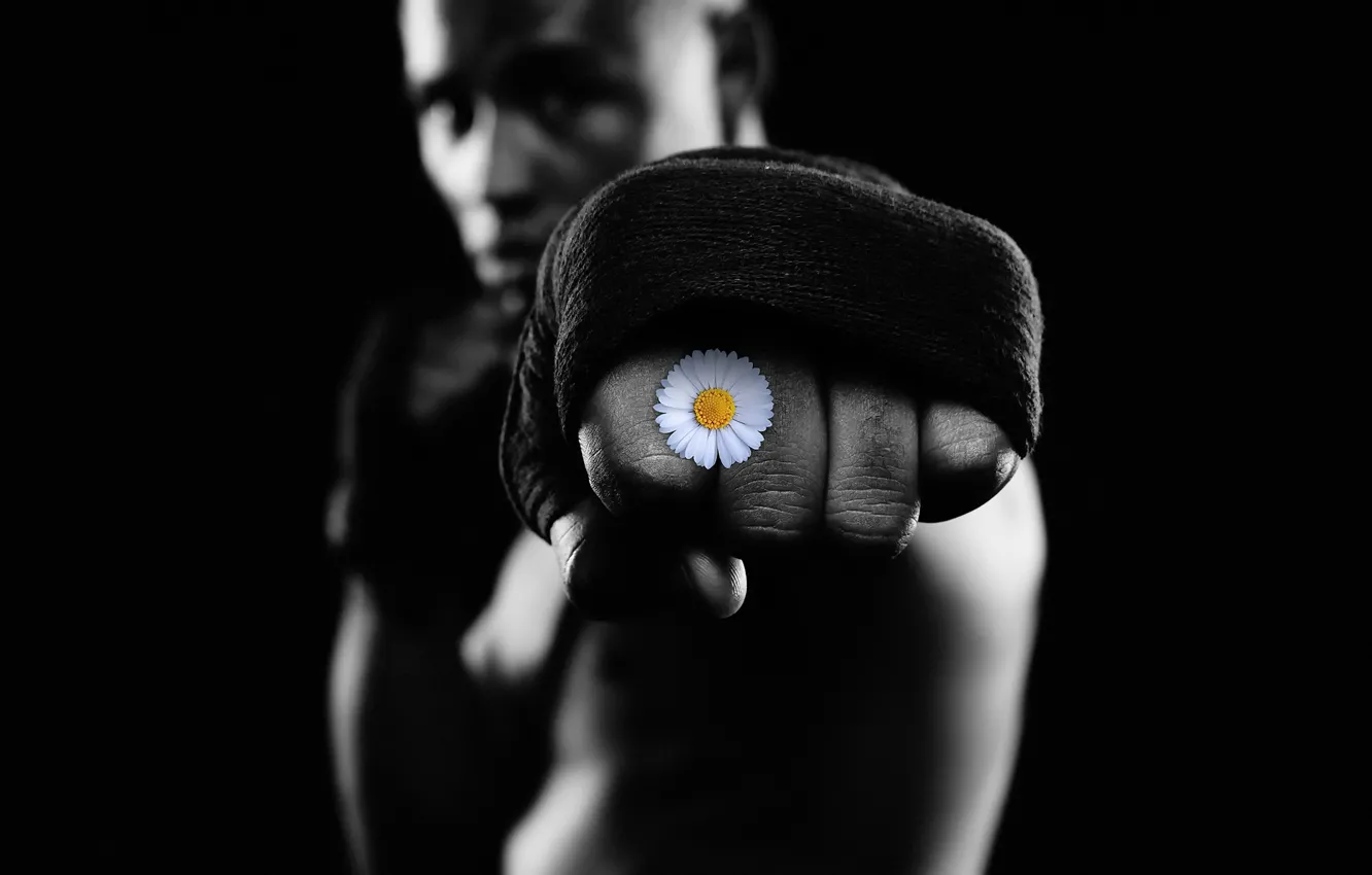 Photo wallpaper flower, Boxing, training
