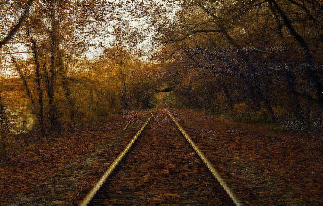 Photo wallpaper road, autumn, nature