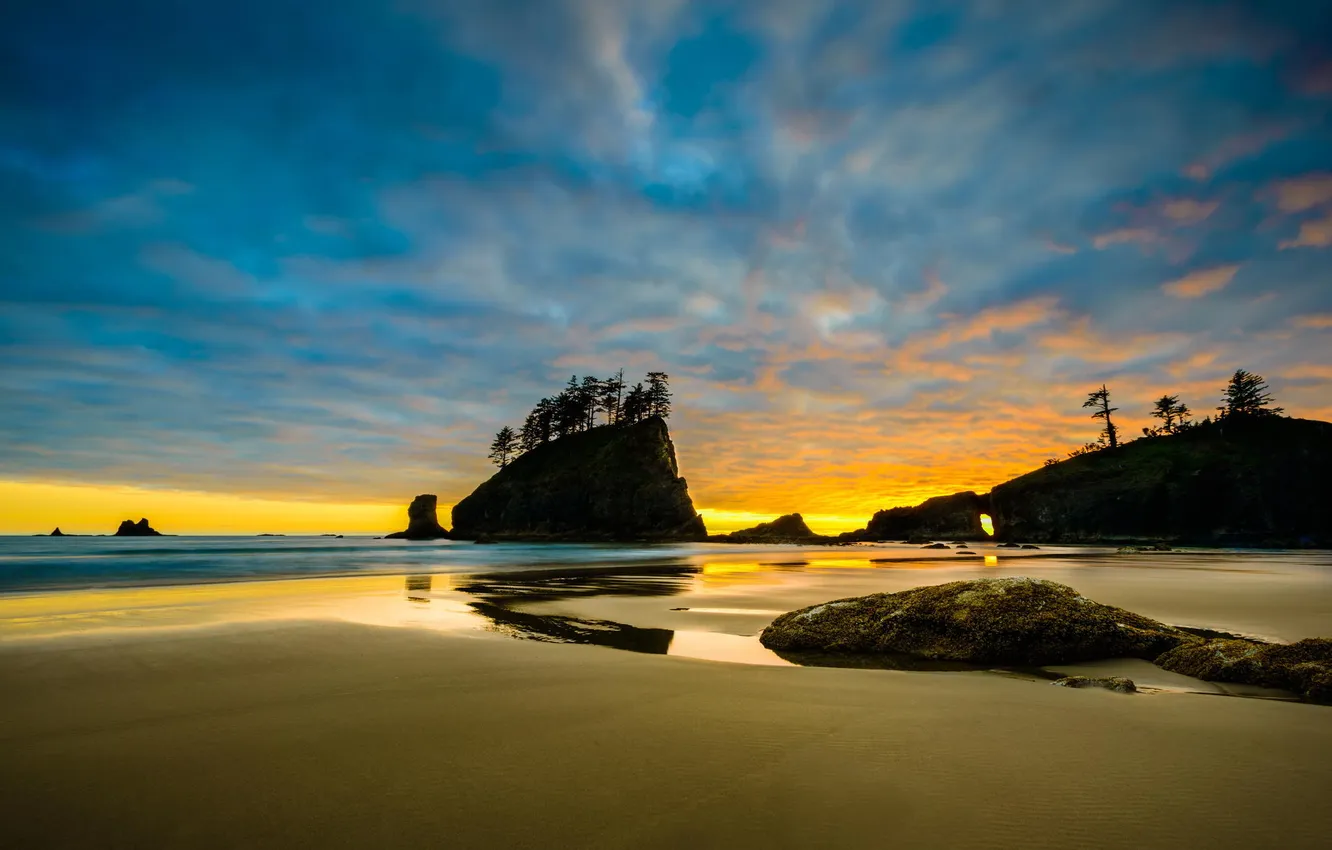 Photo wallpaper sand, beach, trees, the ocean, rocks, dawn, Washington, Olympic National Park