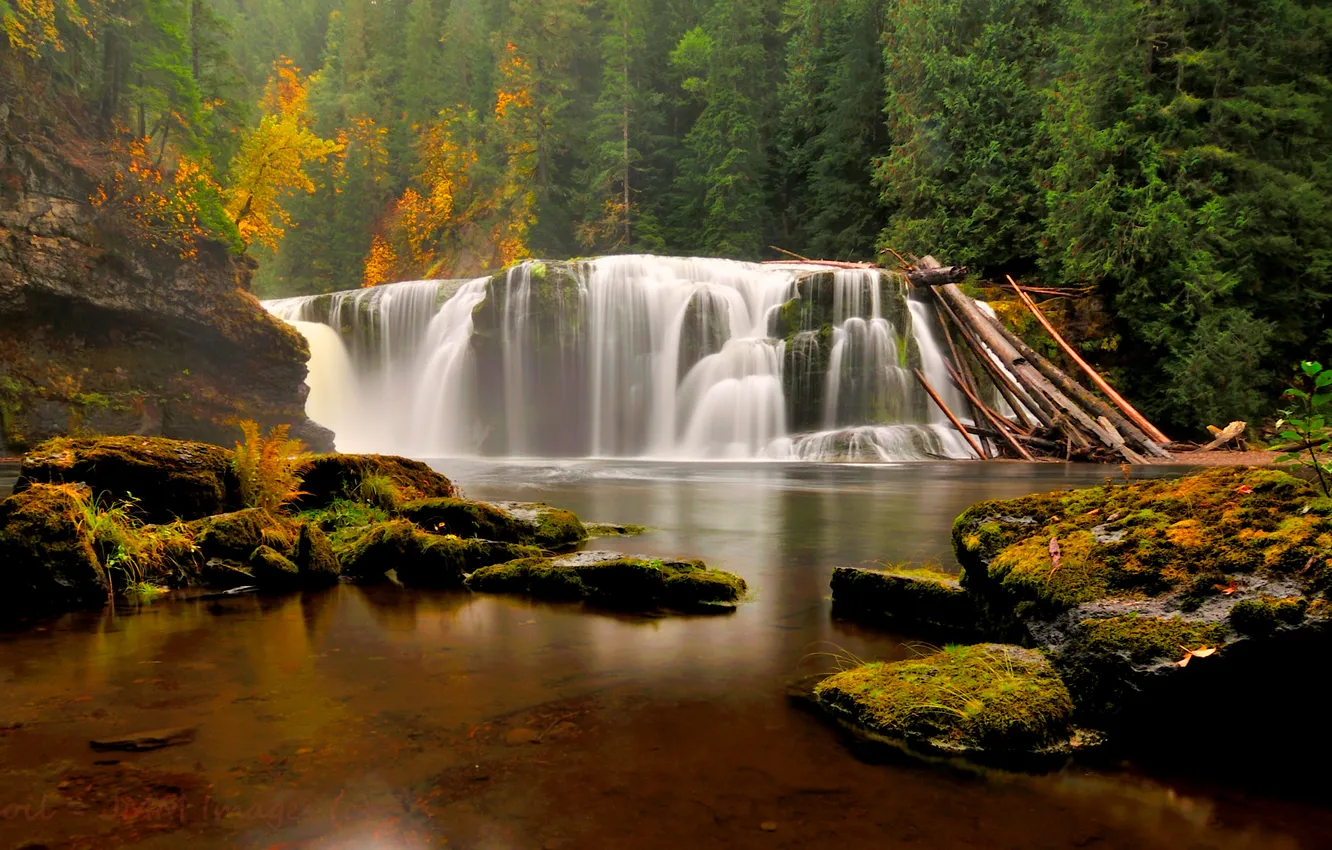 Photo wallpaper autumn, forest, trees, stones, waterfall, moss, Washington, USA