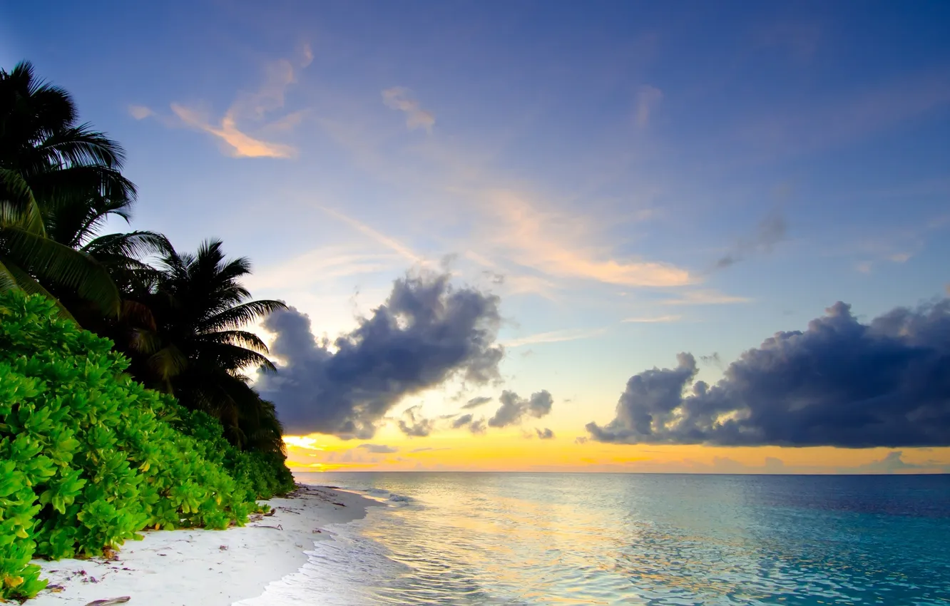 Photo wallpaper sea, clouds, landscape, nature, tropics, palm trees, shrub