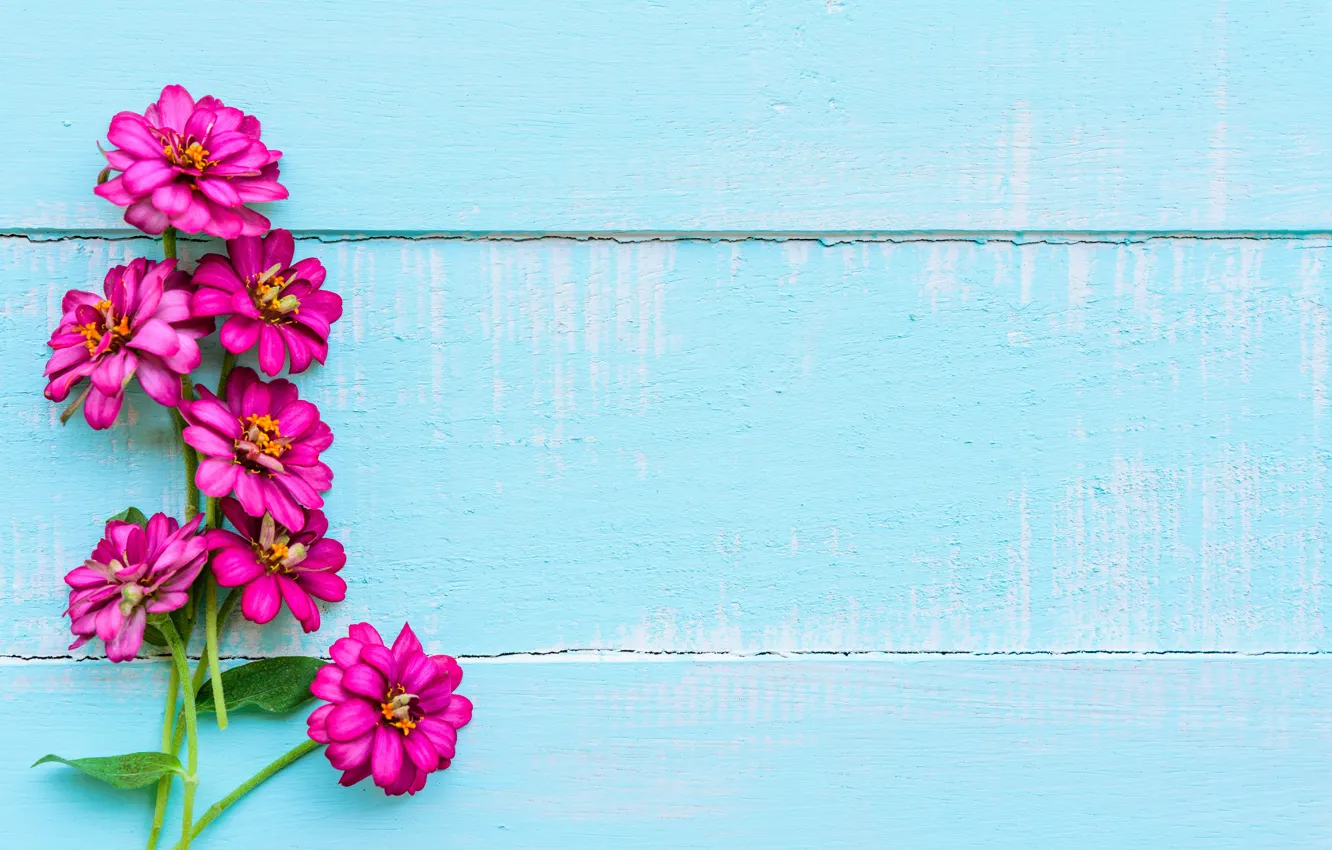 Photo wallpaper flowers, background, wood, blue, flowers, purple