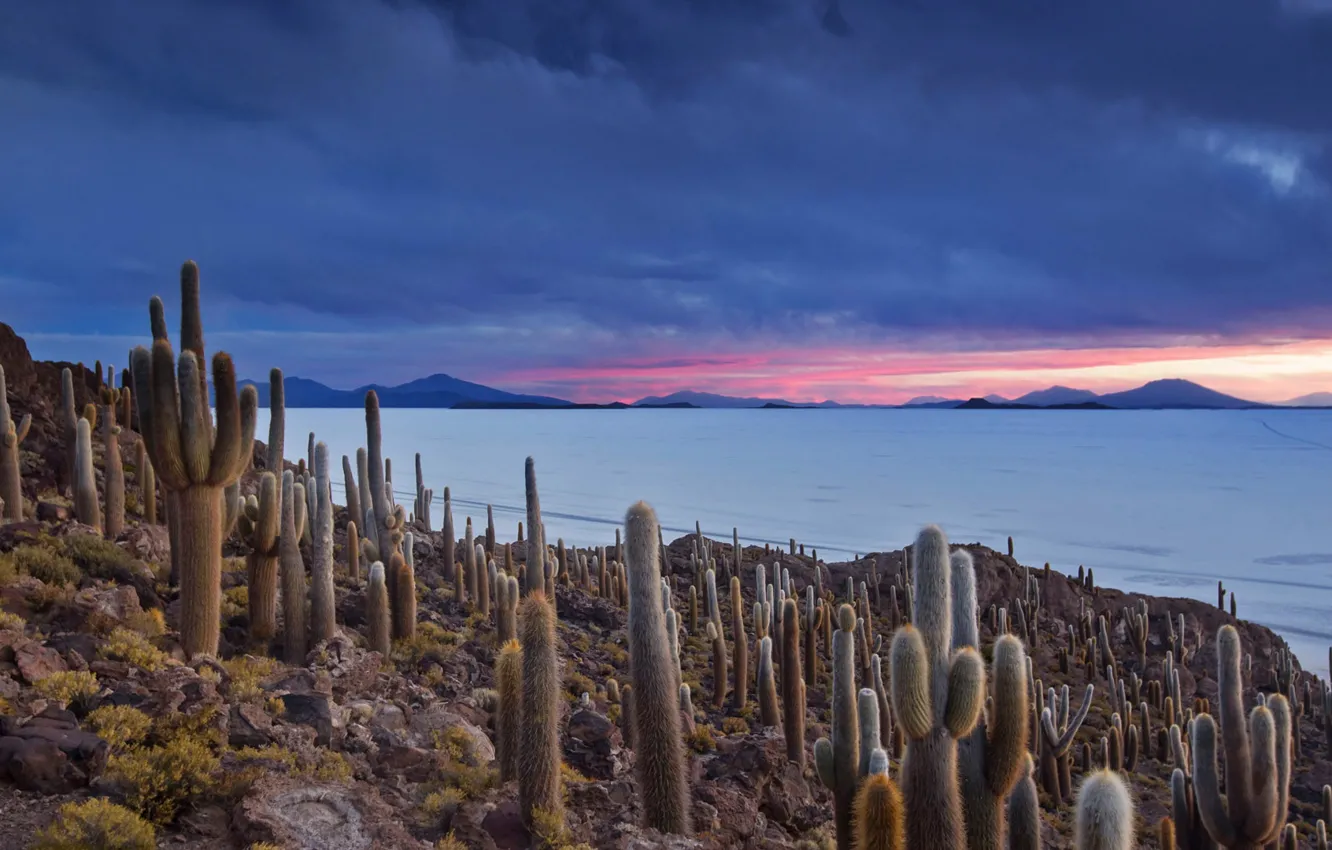 Photo wallpaper clouds, mountains, lake, cactus, Bolivia