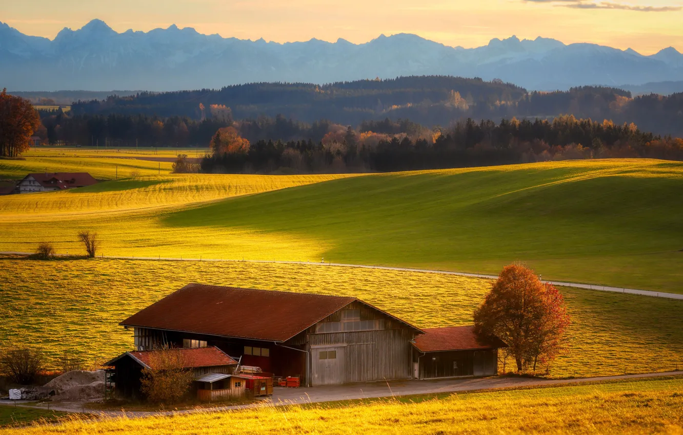 Wallpaper field, forest, farm for mobile and desktop, section пейзажи