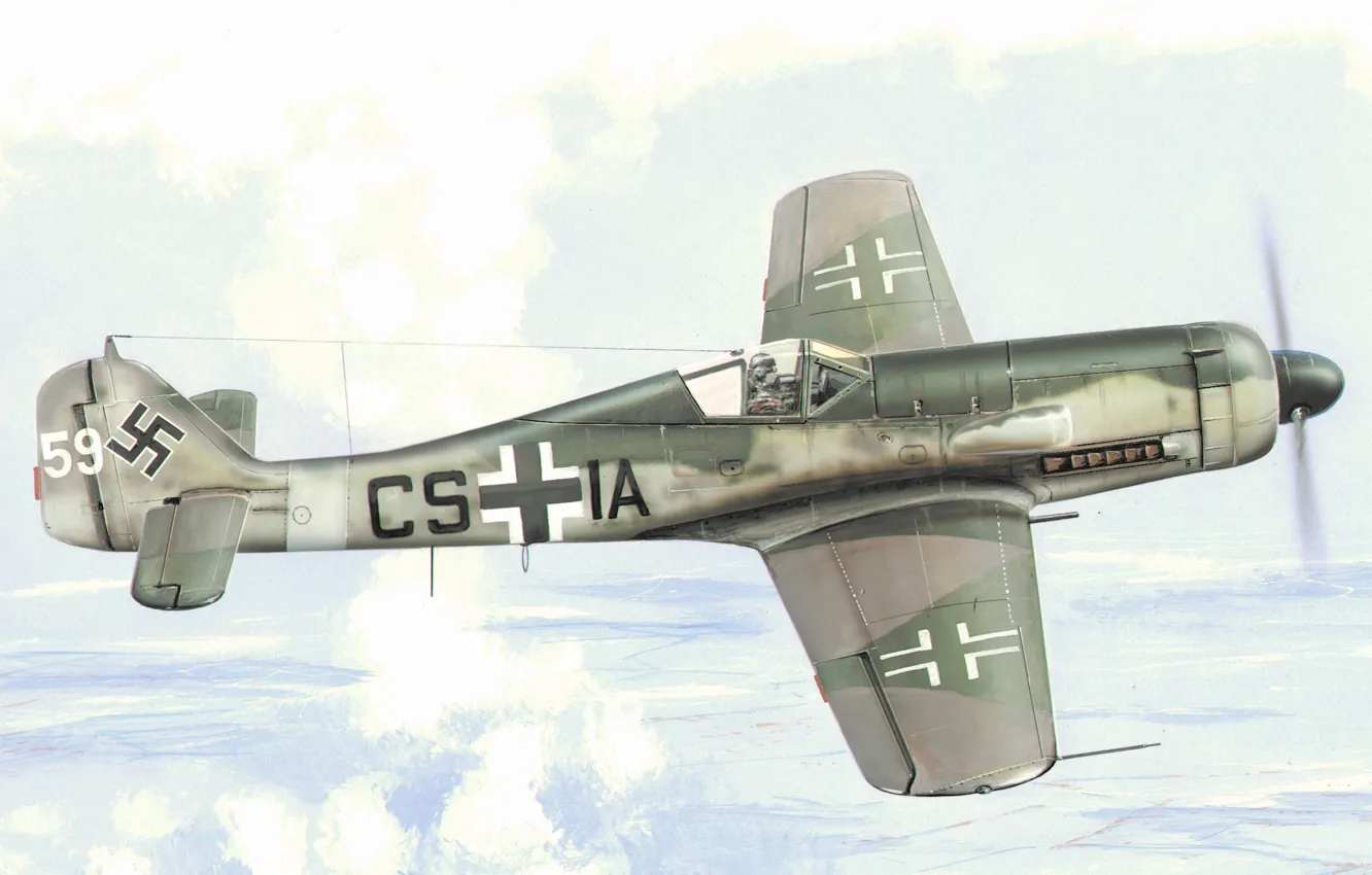 Photo wallpaper fighter, war, art, painting, aviation, WW2, Fuck Wulf FW 190-D9
