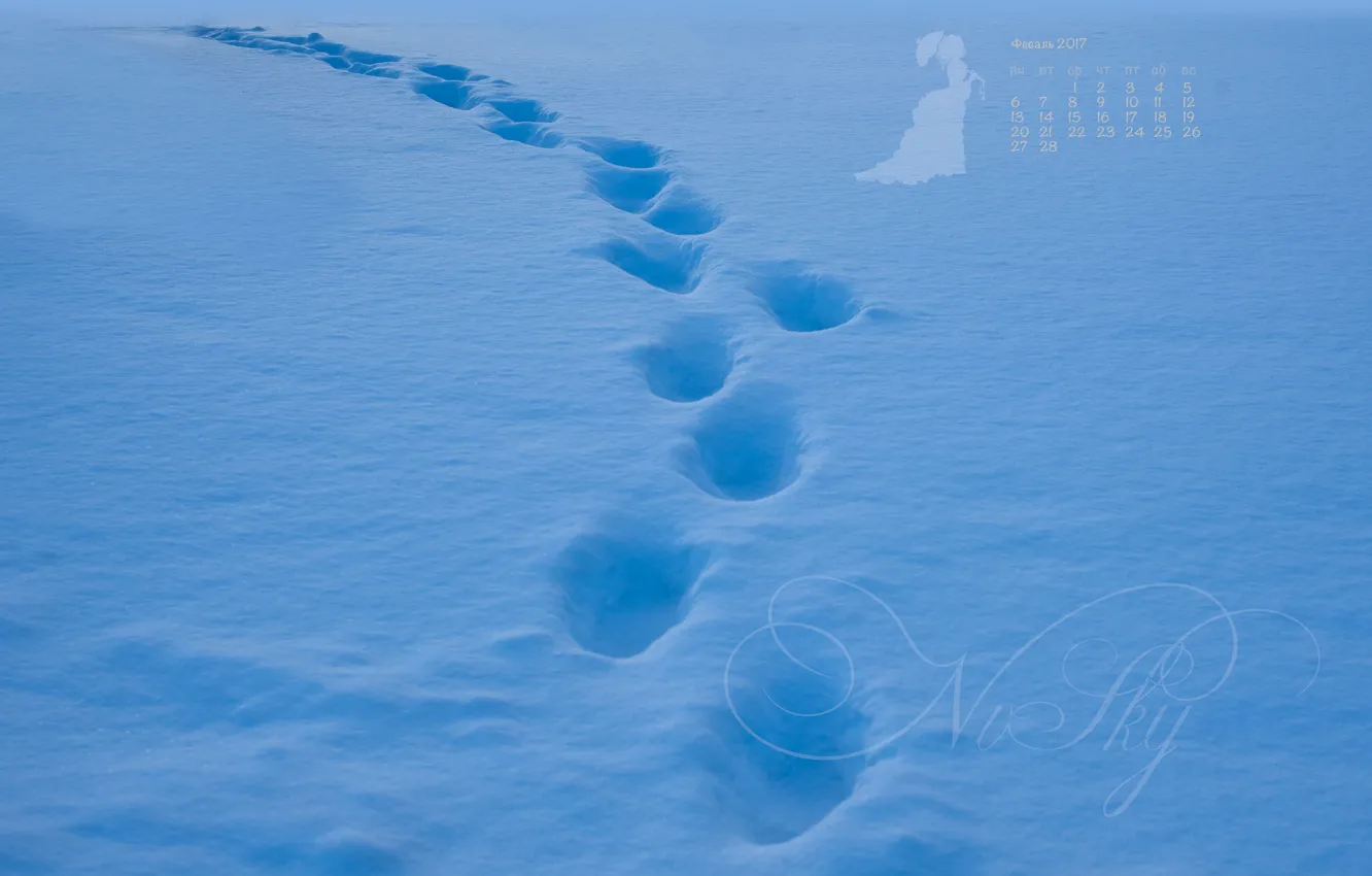 Photo wallpaper snow, traces, the way, blue, trail, calendar, February, 2017
