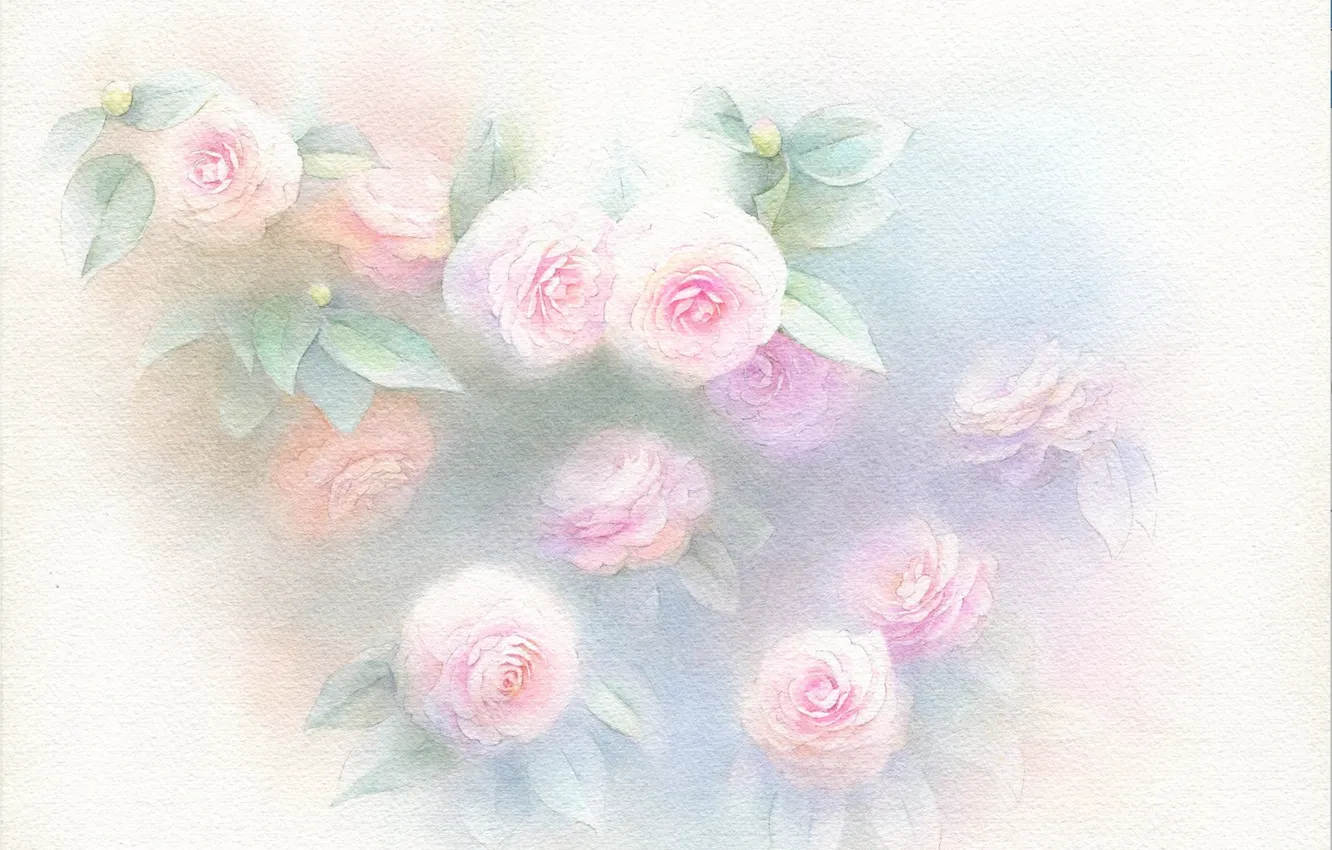 Photo wallpaper leaves, flowers, Camellia