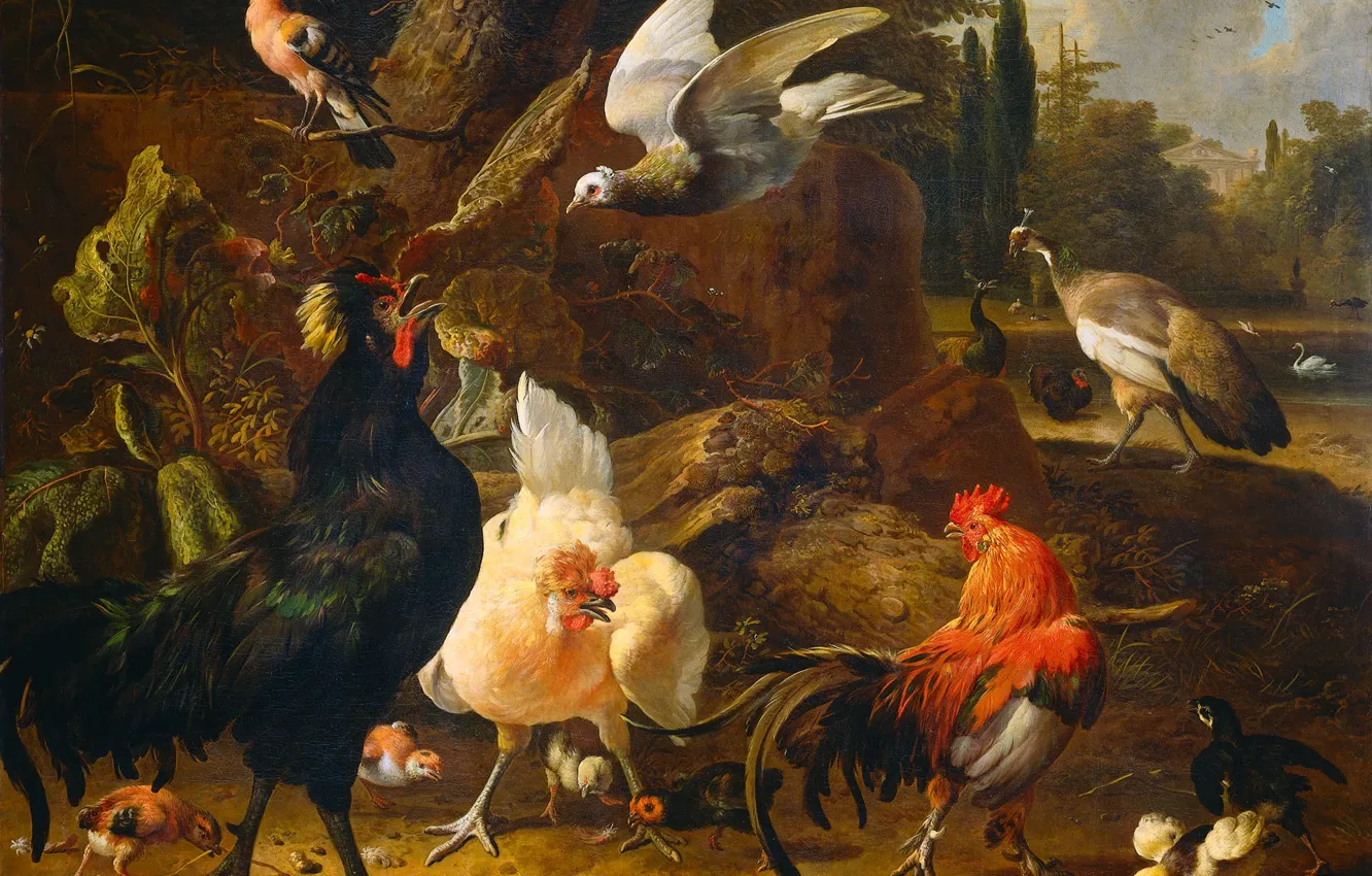 Photo wallpaper animals, picture, Melchior de Hondekuter, The Poultry Yard