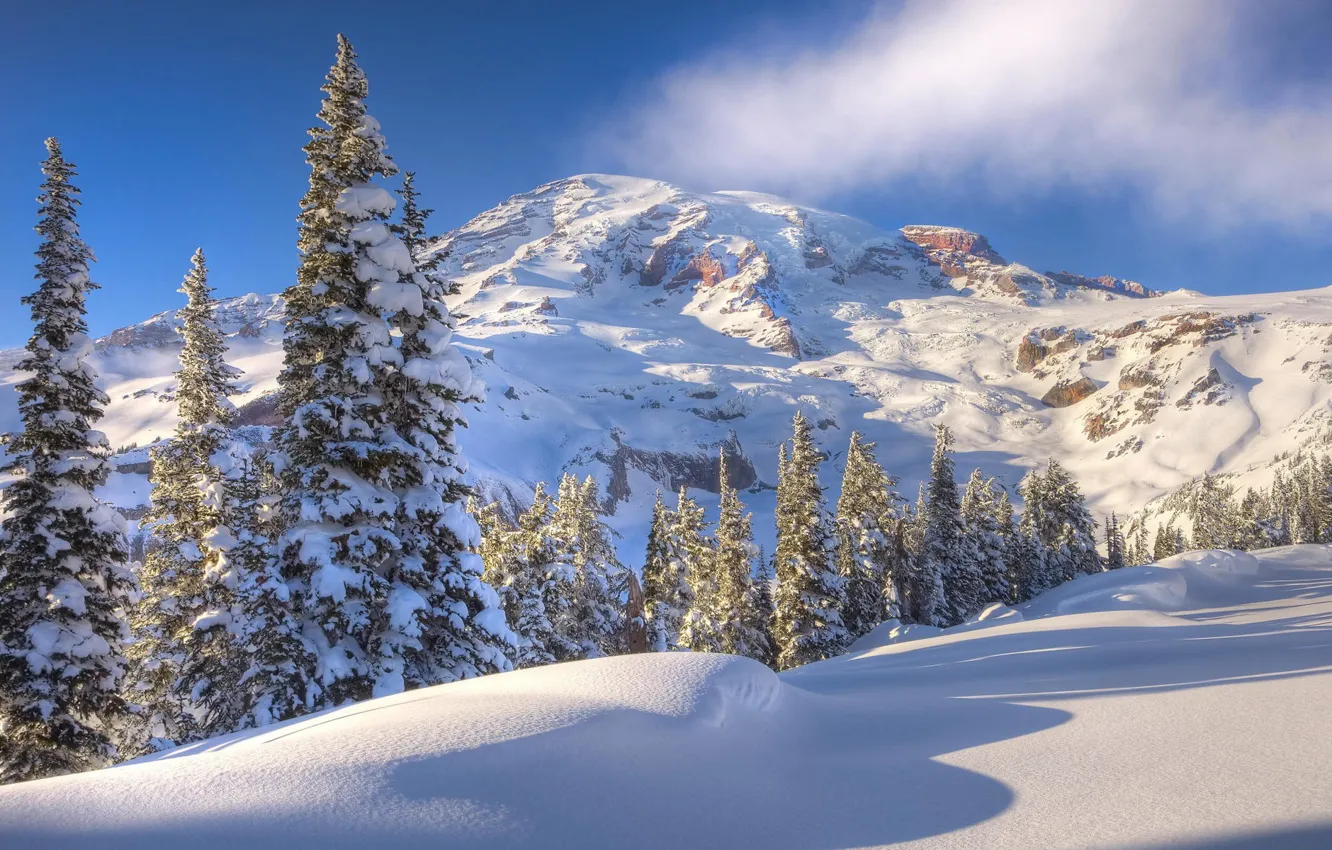 Photo wallpaper winter, the sky, snow, trees, mountains, slope