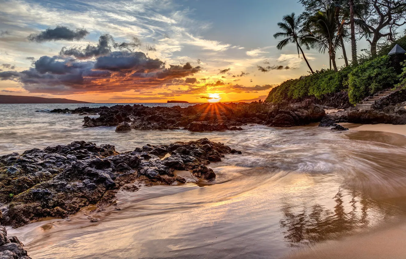 Photo wallpaper beach, sunset, nature, palm trees, the ocean