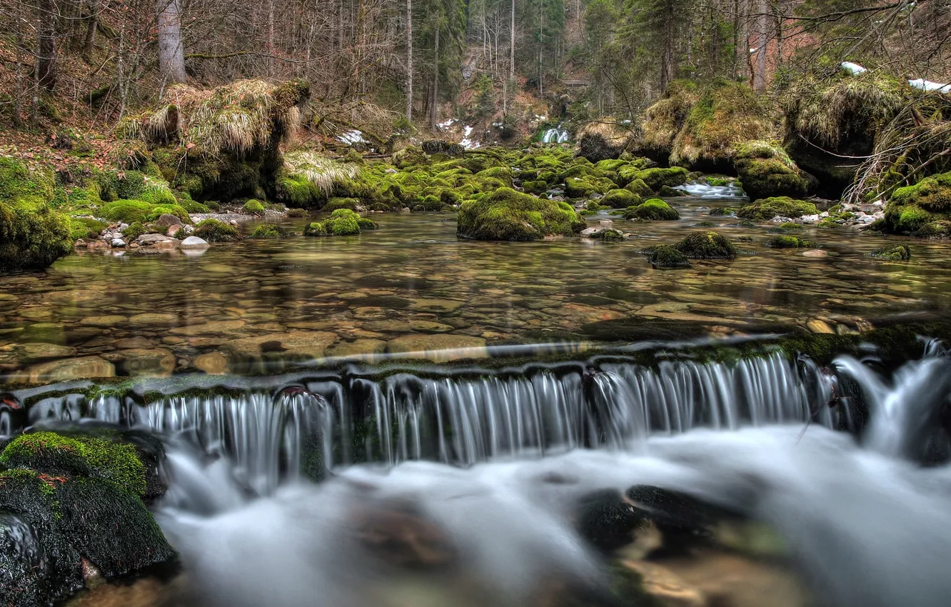 Photo wallpaper forest, water, nature, river, stones, waterfall, moss, boulders