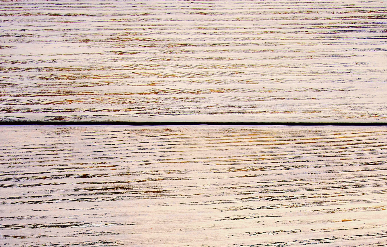Photo wallpaper tree, Board, texture