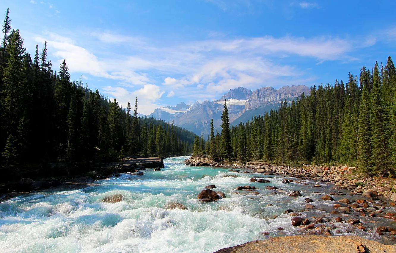 Photo wallpaper forest, the sky, clouds, landscape, mountains, nature, stones, valley