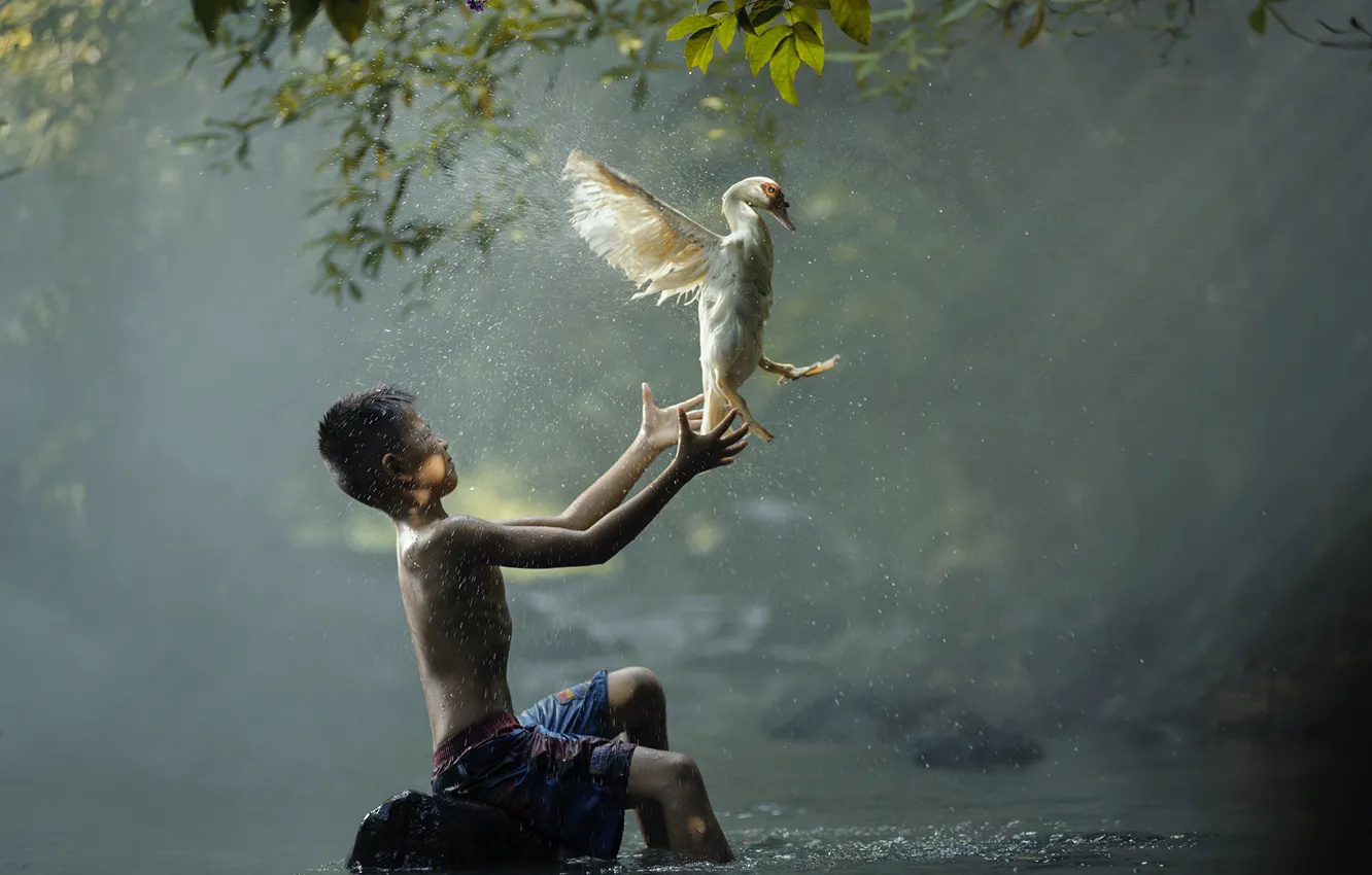 Photo wallpaper river, bird, boy