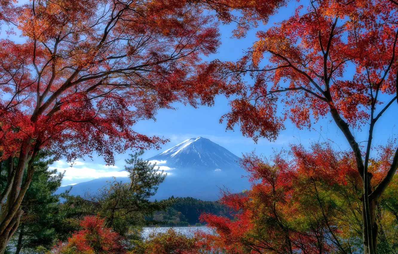 Photo wallpaper autumn, trees, lake, mountain, Japan, Japan, Mount Fuji, Fuji