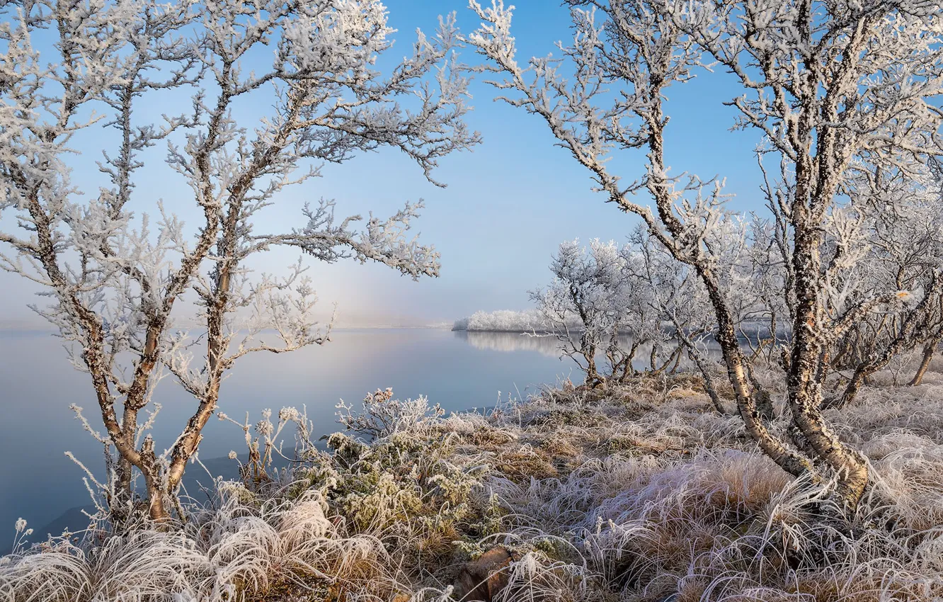Photo wallpaper Norway, Frozen, Finnmark, Varangerbotn