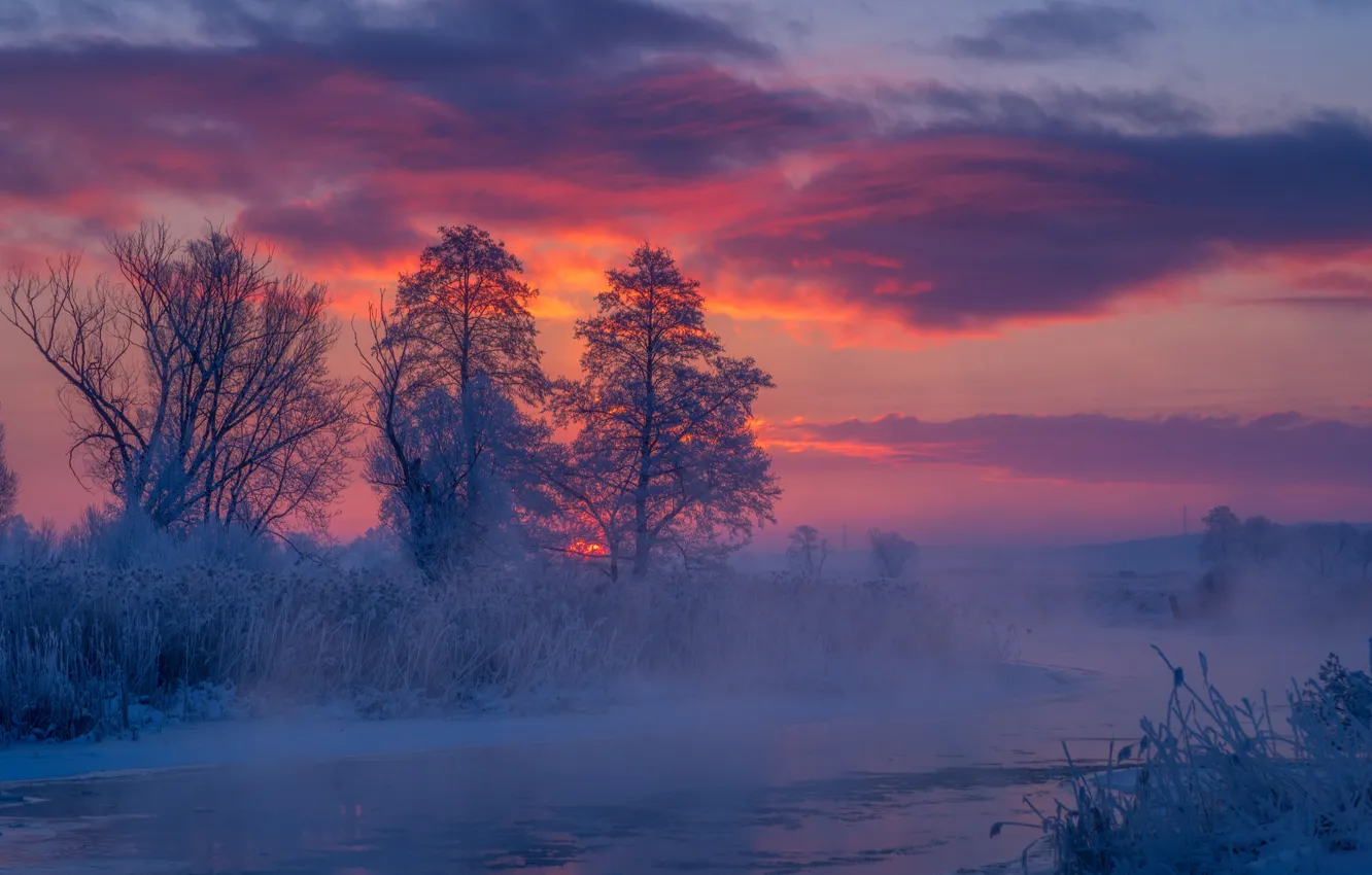Photo wallpaper winter, trees, river, sunrise, dawn, morning, frost, Poland