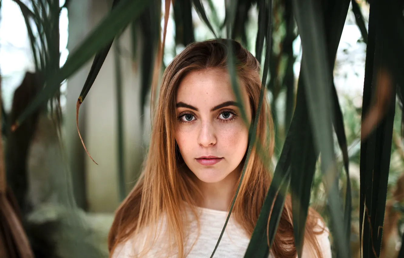 Photo wallpaper leaves, girl, portrait, makeup, garden, hairstyle, redhead, bokeh