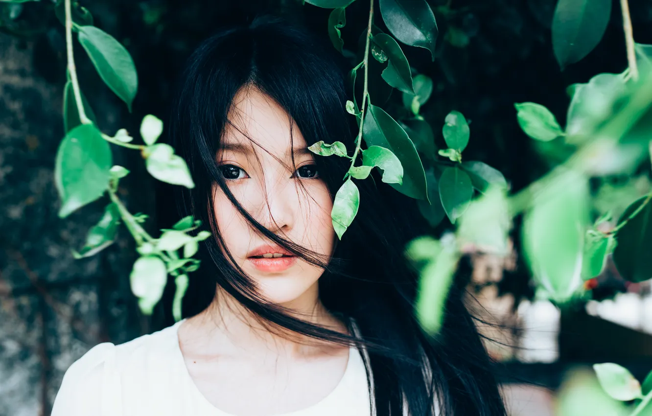 Photo wallpaper eyes, leaves, girl, face, hair, brunette, Asian