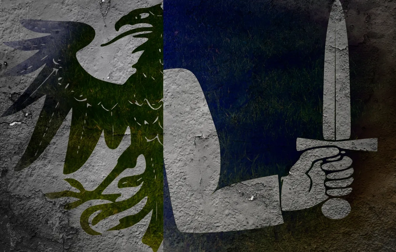 Photo wallpaper sword, flag, Ireland, coat of arms, Raven, Connaught