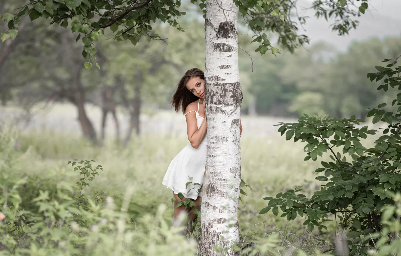 Photo wallpaper NATURE, GRASS, TRUNK, SUNDRESS, BIRCH, Diana, Denis Tretyakov, Model Diana