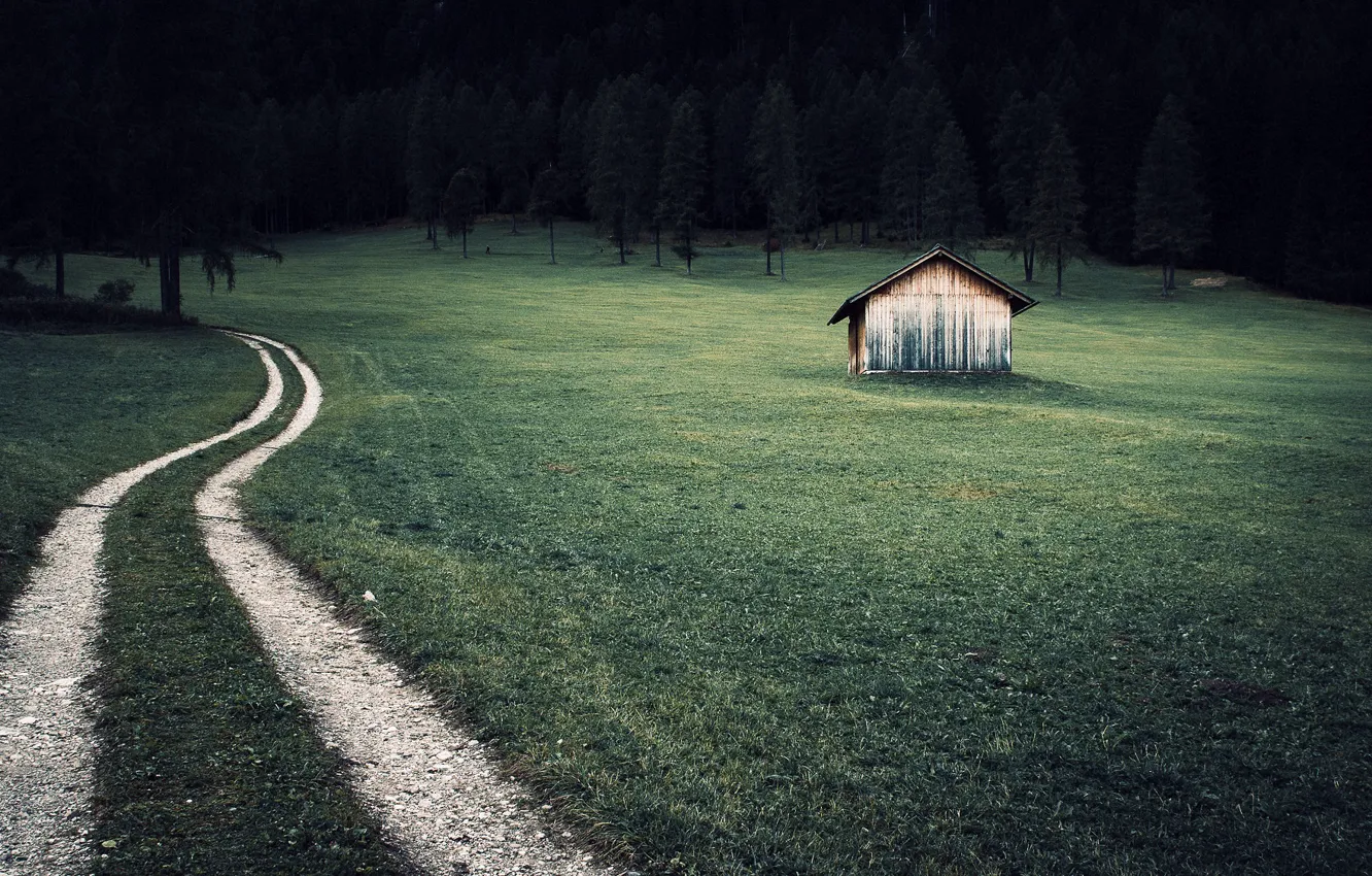 Photo wallpaper road, nature, home