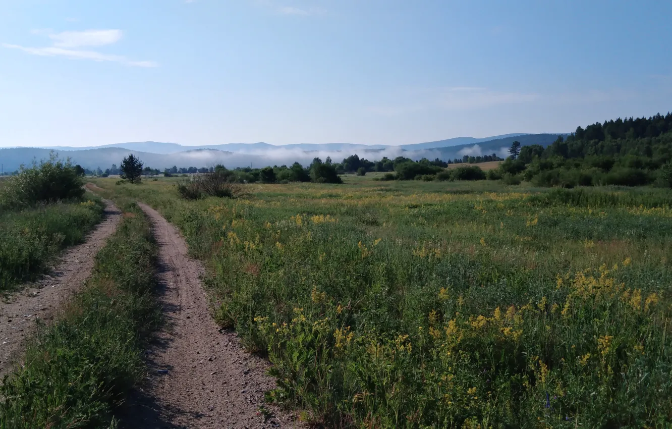 Photo wallpaper road, the sky, grass, fog, morning