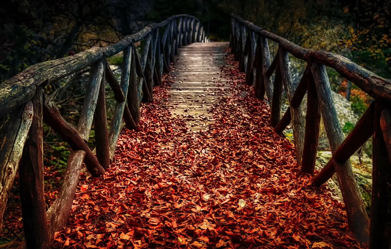 Photo wallpaper autumn, leaves, bridge