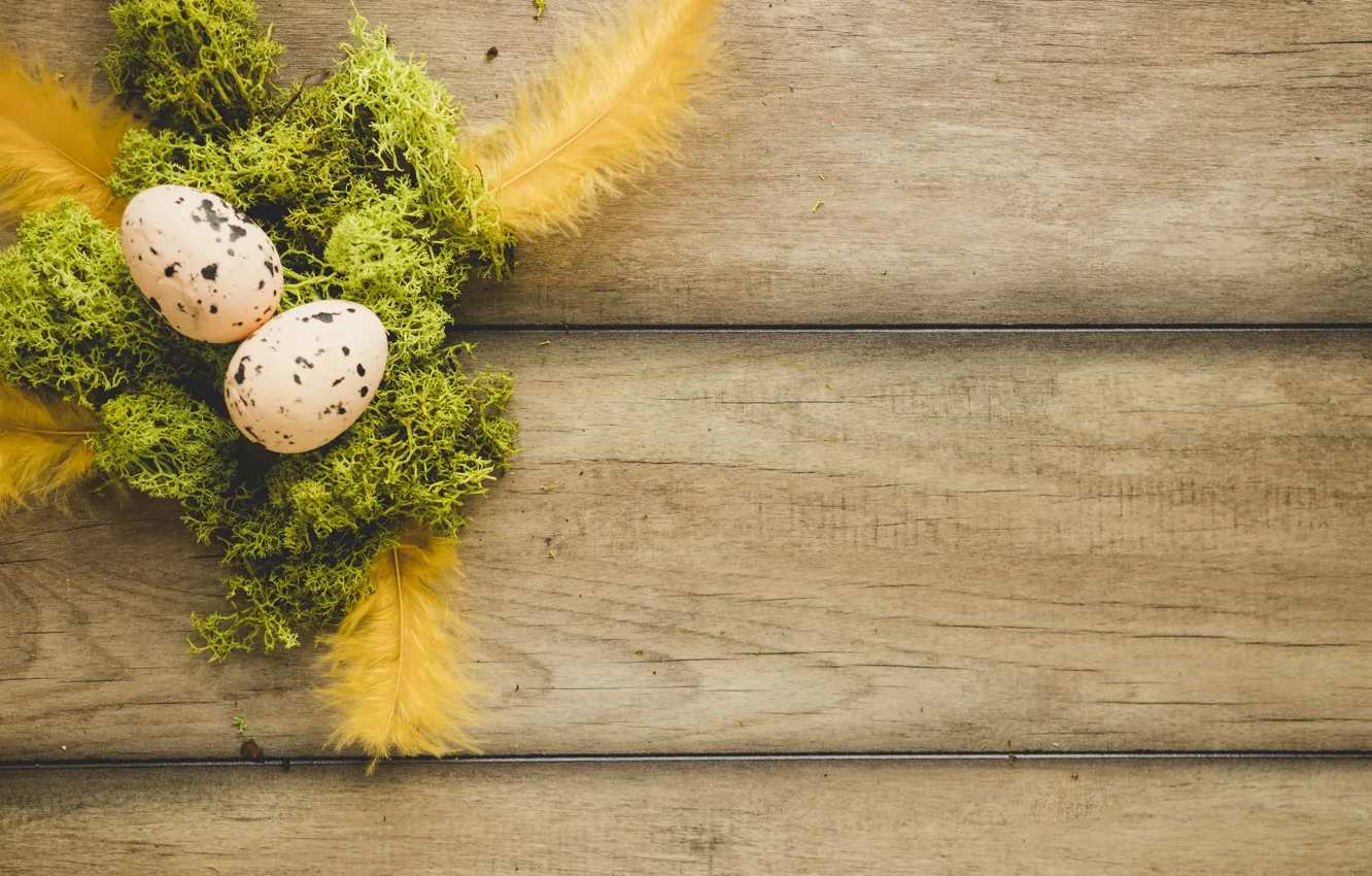 Photo wallpaper moss, eggs, spring, Feathers, Easter, Holiday