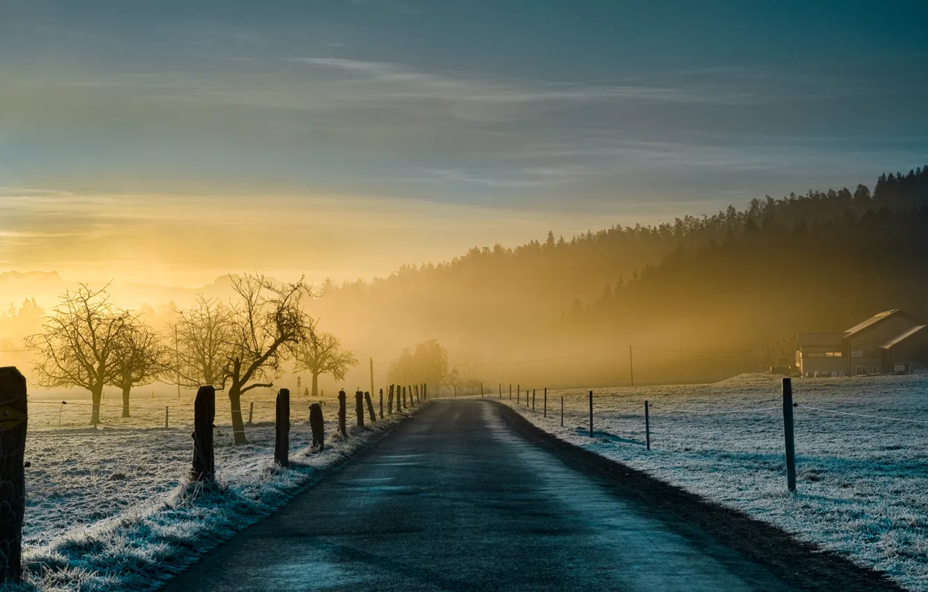 Photo wallpaper road, nature, fog, blue, morning
