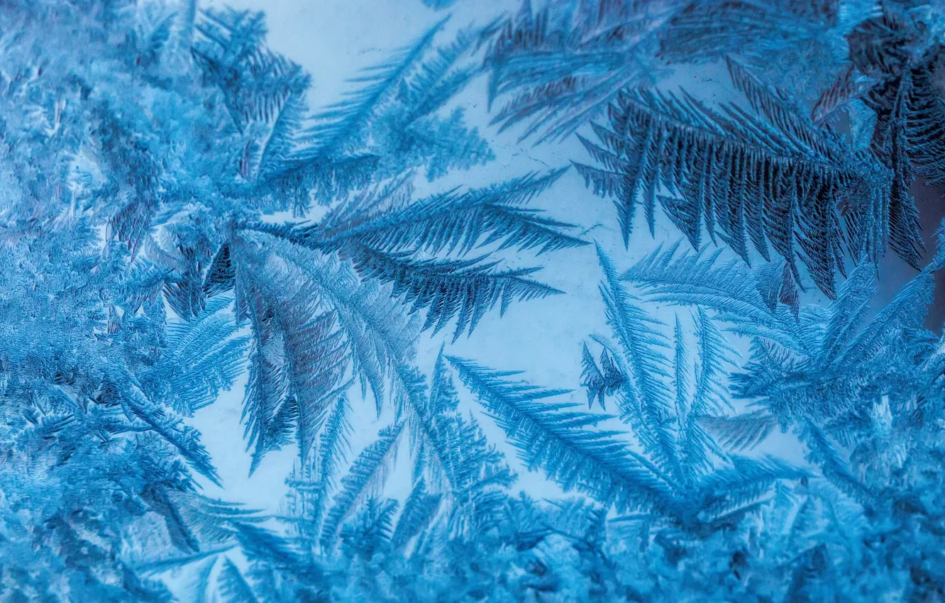 Wallpaper winter, frost, nature, patterns, ice, frost for mobile and ...