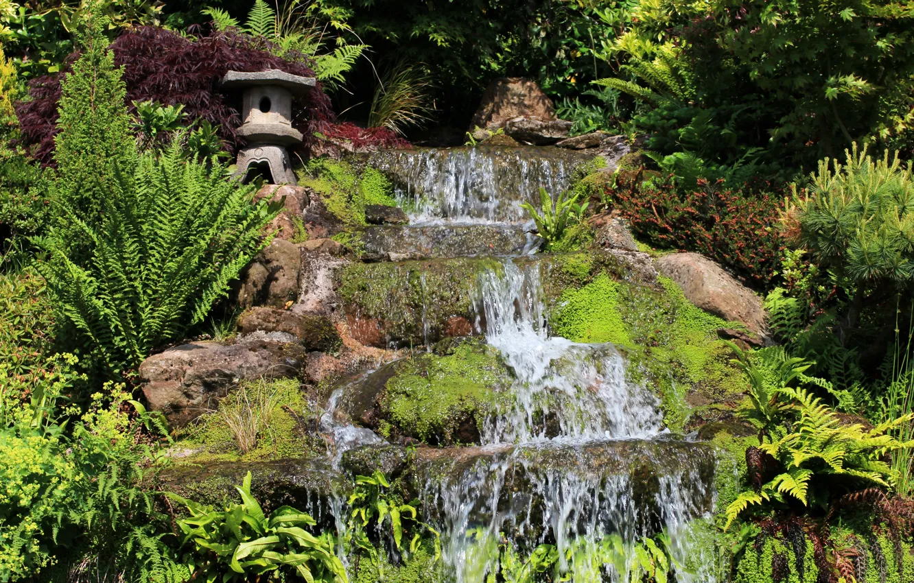 Photo wallpaper greens, stream, waterfall, garden, UK, Mount Pleasant garden, Kelsall