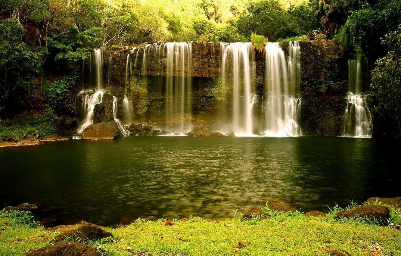 Photo wallpaper forest, water, nature, waterfall, nature, waterfall