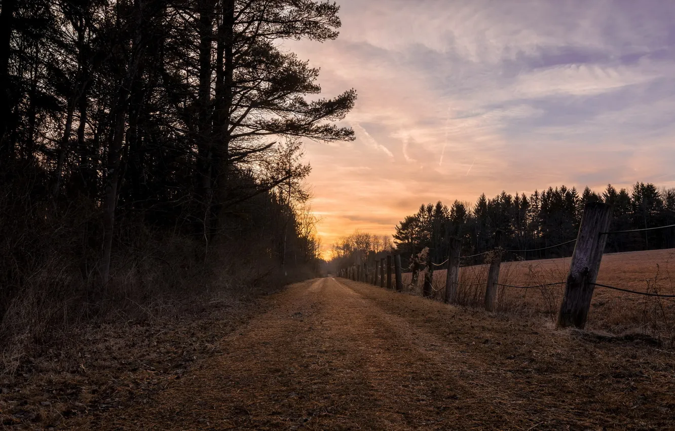 Photo wallpaper road, the fence, the evening