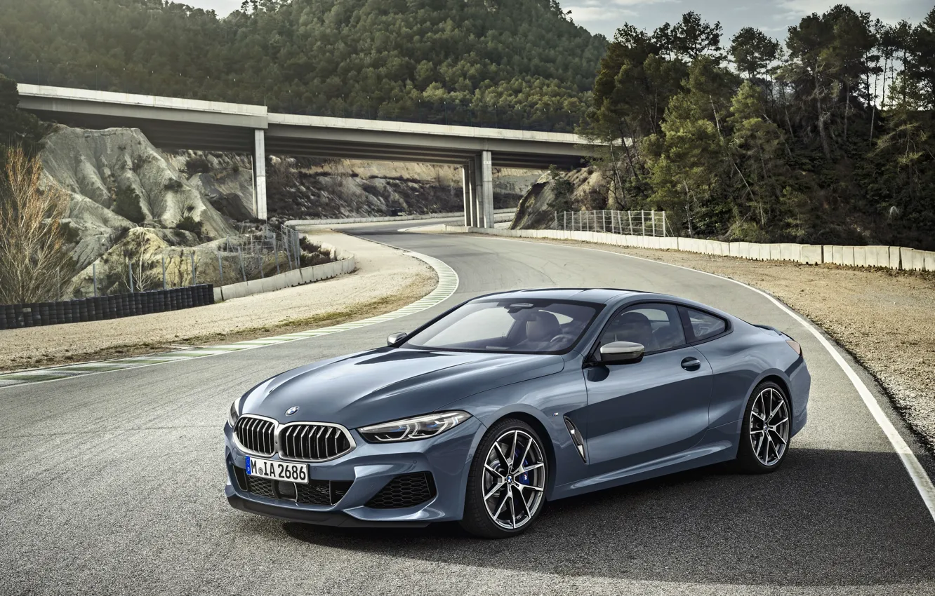 Photo wallpaper road, coupe, BMW, Coupe, 2018, gray-blue, 8-Series, pale blue