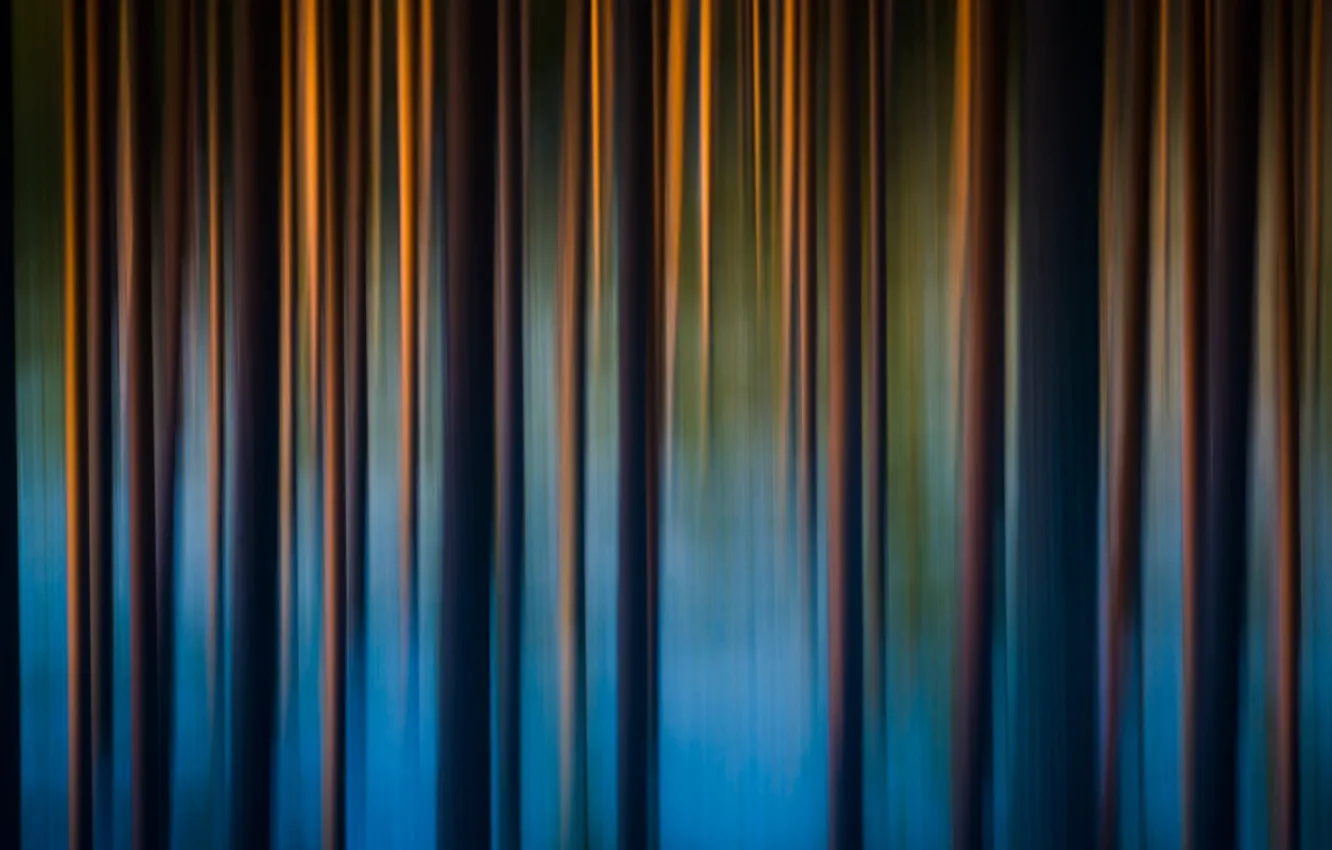 Photo wallpaper line, movement, blur