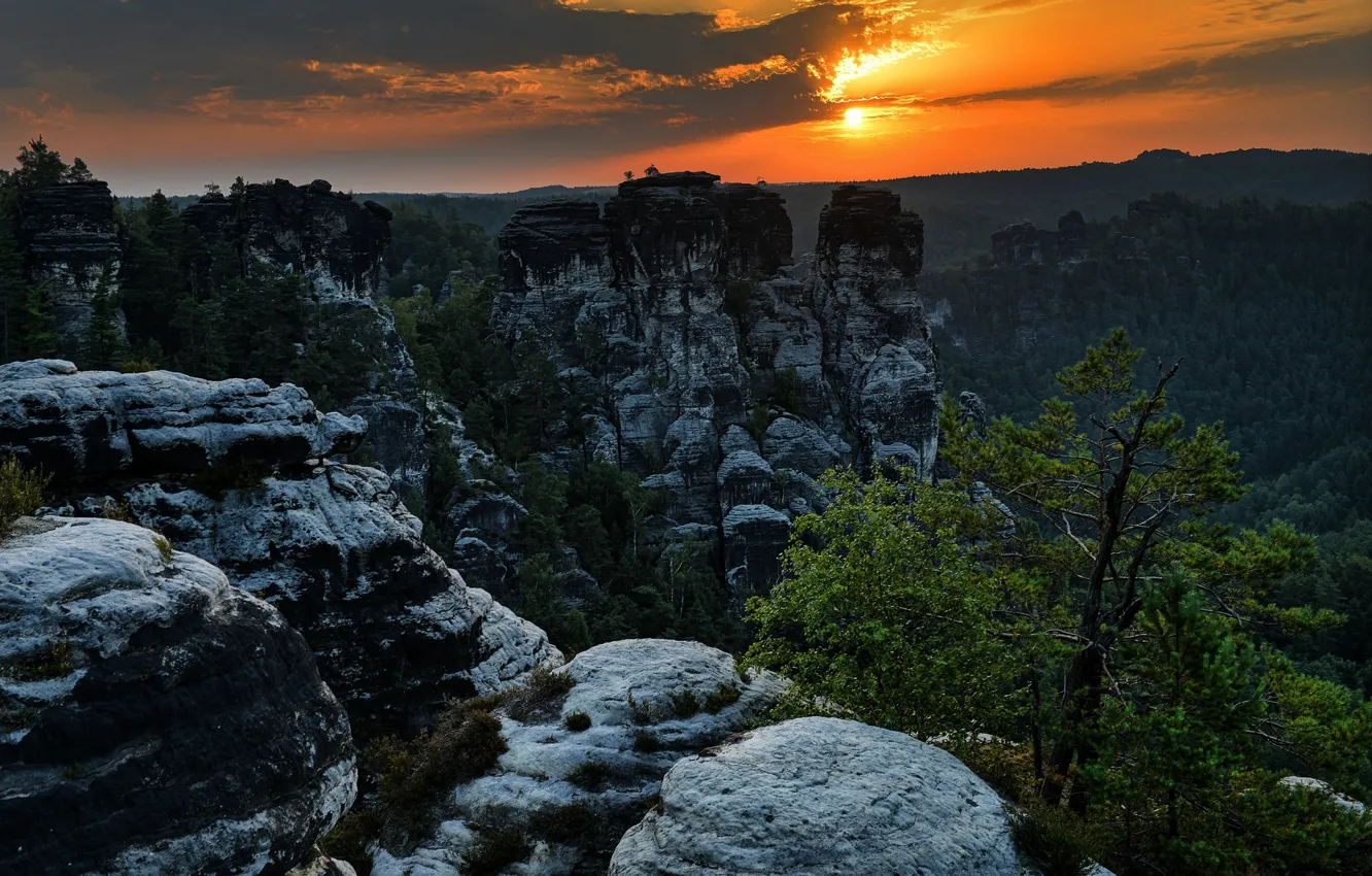 Photo wallpaper Germany, Saxony, Oberrathen