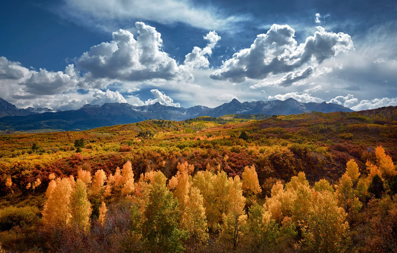 Photo wallpaper autumn, mountains, Colorado, USA, state, Golden forest