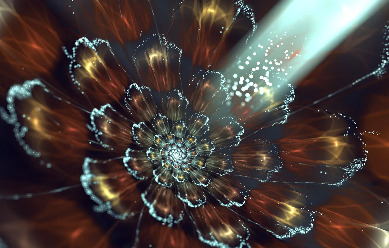Photo wallpaper flower, rays, light, graphics, fractal, bokeh, the sheaf