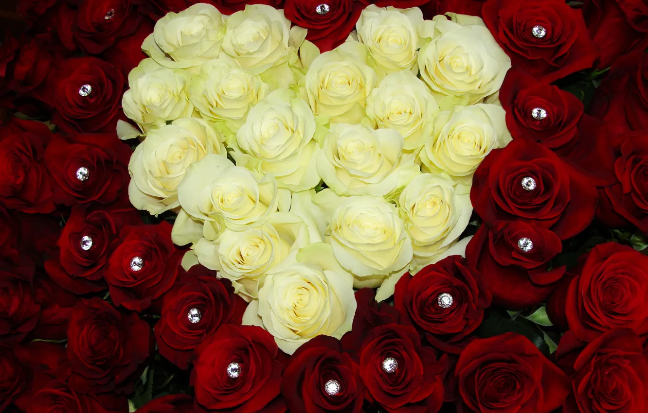 Photo wallpaper flowers, heart, roses, bouquet, colorful, red, rose, white