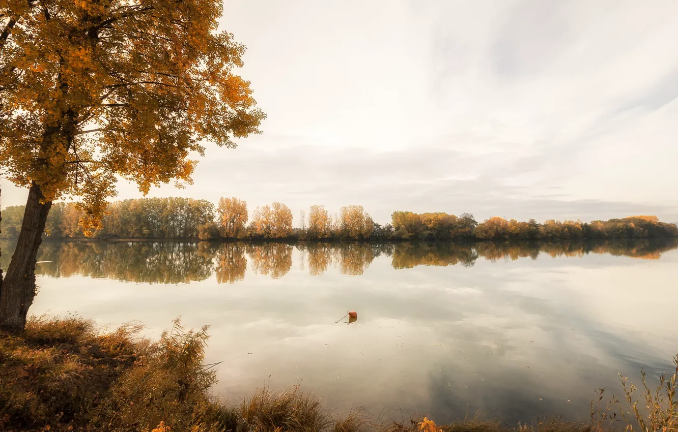 Photo wallpaper autumn, river, tree