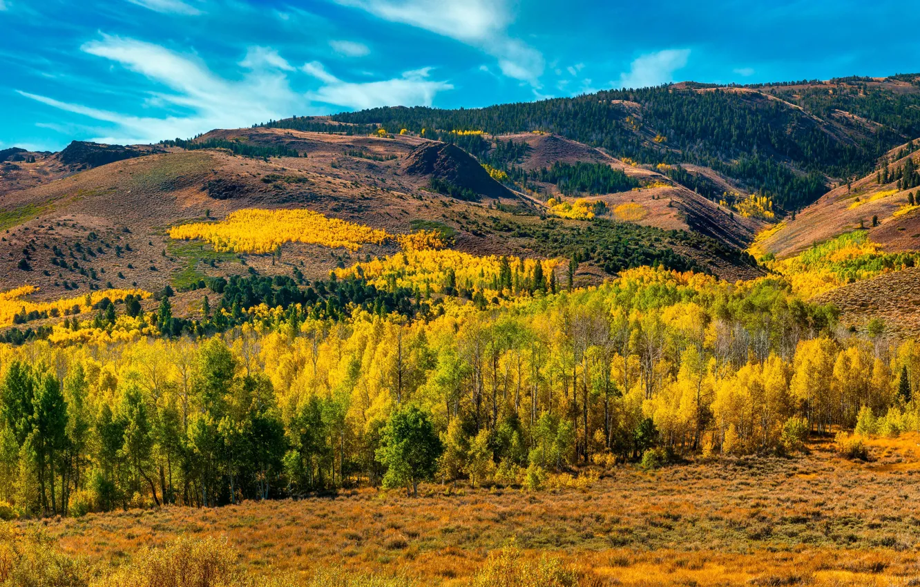 Photo wallpaper autumn, forest, mountains