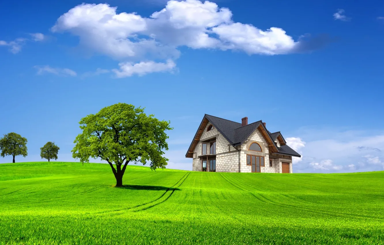 Photo wallpaper green, landscape, nature